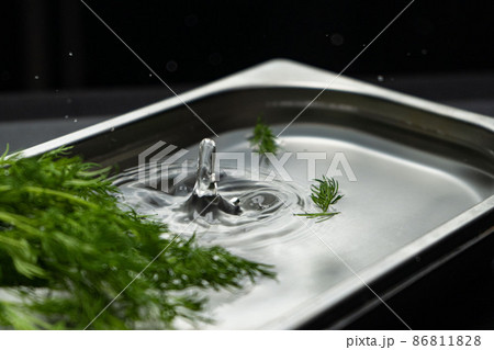 silver metal tray with water highlighted on a black background silver metal tray with water highlighted on a black background 86811828