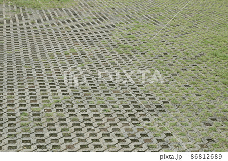 Brick-worm floor with grass green Brick-worm floor with grass green 86812689