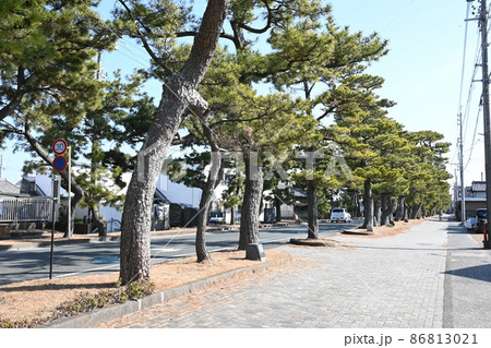 旧東海道舞阪松並木 旧東海道舞阪松並木 86813021