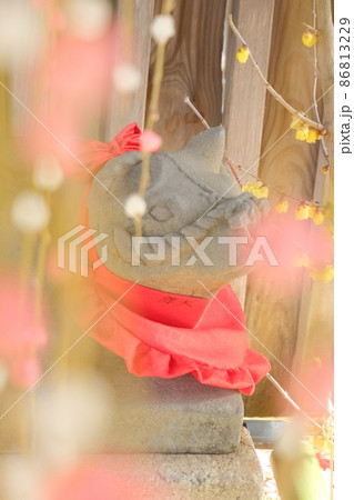 一願成就のお牛さまの北野天満宮 一願成就のお牛さまの北野天満宮 86813229