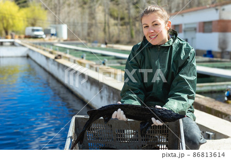 Woman fish farmer holding sturgeon Woman fish farmer holding sturgeon 86813614