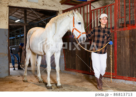 Woman horse holder leading white horse in stabling 86813713