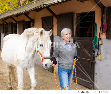 Senior woman horse breeder leading white horse through horse barn Senior woman horse breeder leading white horse through horse barn 86813768