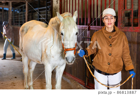 Asian female stable worker leading horse by bridle in barn Asian female stable worker leading horse by bridle in barn 86813887