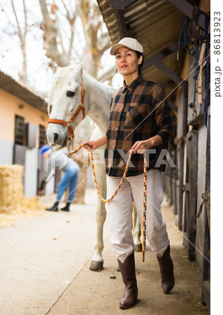 Woman horse holder leading white horse on farm Woman horse holder leading white horse on farm 86813923