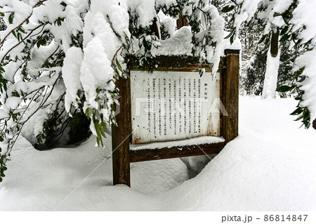 平泉寺白山神社の雪景色 86814847