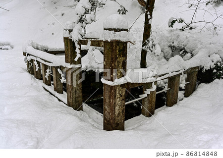 平泉寺白山神社の雪景色 平泉寺白山神社の雪景色 86814848