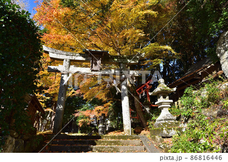 京都・四所神社の紅葉 86816446