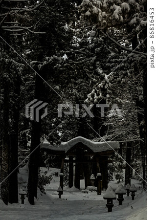 平泉寺白山神社の雪景色 平泉寺白山神社の雪景色 86816453
