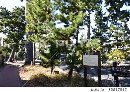 大磯町 東海道(旧東海道)松並木と案内板と関東ふれあいの道道しるべ 大磯町 東海道(旧東海道)松並木と案内板と関東ふれあいの道道しるべ 86817017