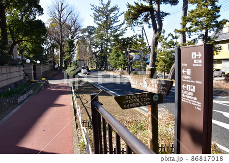 大磯町 東海道(国道1号線)松並木と案内板と関東ふれあいの道道しるべ 大磯町 東海道(国道1号線)松並木と案内板と関東ふれあいの道道しるべ 86817018
