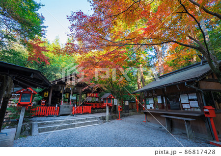 京都　野宮神社の紅葉 86817428
