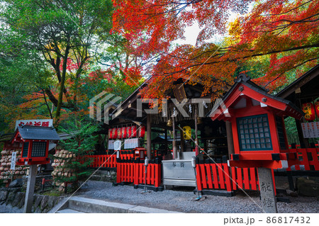 京都　野宮神社の紅葉 86817432