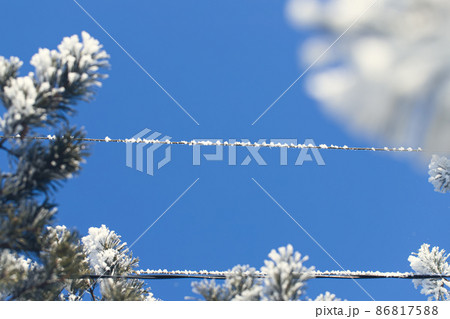 Spruce is covered with snow after snowfall. Nature of Russia. Spruce is covered with snow after snowfall. Nature of Russia. 86817588