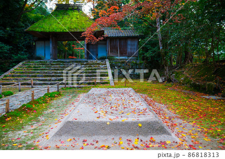 京都　法然院の白砂壇(びゃくさだん）と山門　秋　　 86818313