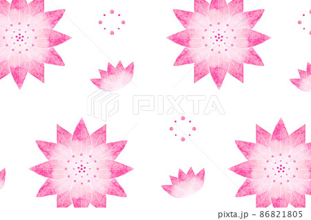 アストランティア アストランティア 86821805