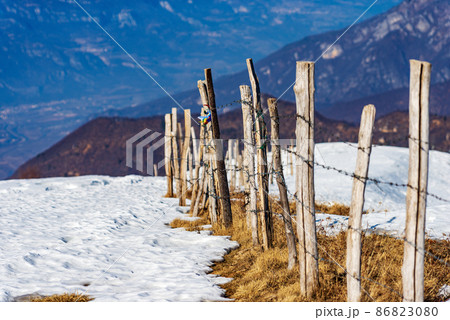 Fence made of Barbed Wire and Wooden Posts for Grazing and Agriculture Fence made of Barbed Wire and Wooden Posts for Grazing and Agriculture 86823080
