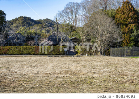 午後の嵐山、落柿舎を望む(冬) 午後の嵐山、落柿舎を望む(冬) 86824093