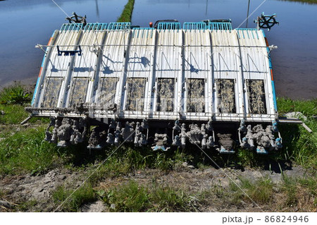 田植え作業中の水田 86824946
