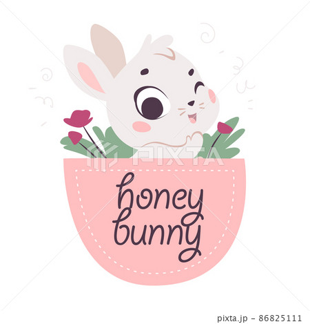 Vector flat illustration with cute little bunny animal sit in pink pocket isolated. Vector flat illustration with cute little bunny animal sit in pink pocket isolated. 86825111