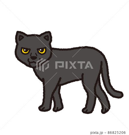 黒豹 イラストのイラスト素材 8656
