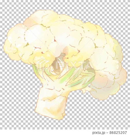 花椰菜例證 86825207