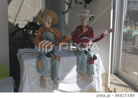 骸骨　大船フラワーセンター 86825389