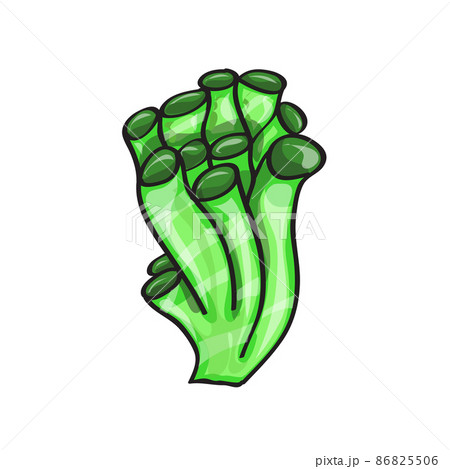 Algae and underwater inhabitants. Underwater plant, sponges. Cartoon style 86825506