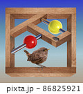 Bird on an impossible structure 86825921
