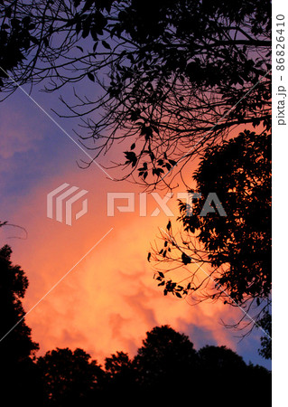 夕焼けの赤い雲・ブルーの空・木のシルエット 夕焼けの赤い雲・ブルーの空・木のシルエット 86826410