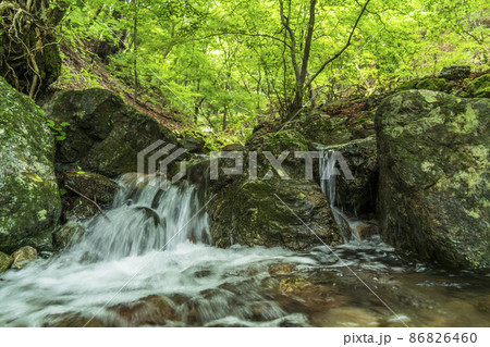 御岳山ロックガーデンの渓流【東京都・青梅市】 86826460