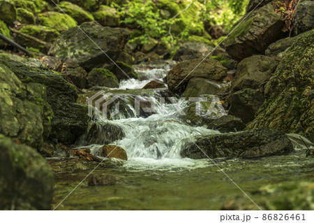 御岳山ロックガーデンの渓流【東京都・青梅市】 86826461