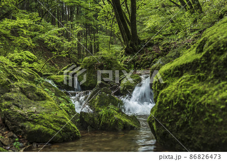 御岳山　御岳渓谷　ロックガーデン【東京都・青梅市】 86826473