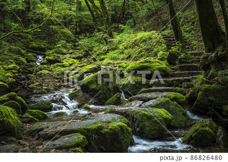 御岳山 御岳渓谷 ロックガーデン【東京都・青梅市】 御岳山 御岳渓谷 ロックガーデン【東京都・青梅市】 86826480