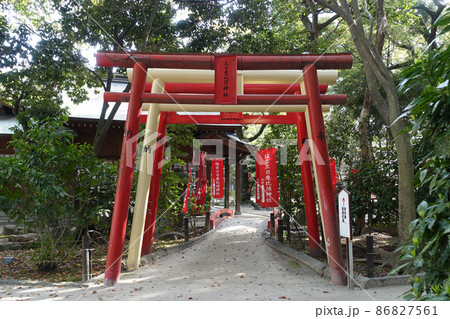 三日恵比須神社 博多の住吉神社内（福岡県福岡市博多） 86827561