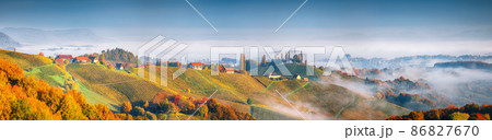 Astonishing vineyards landscape in South Styria near Gamlitz. 86827670