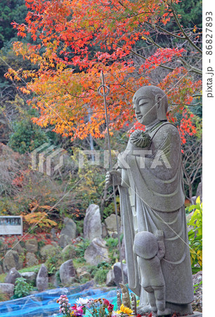 帯石観音の紅葉 86827893
