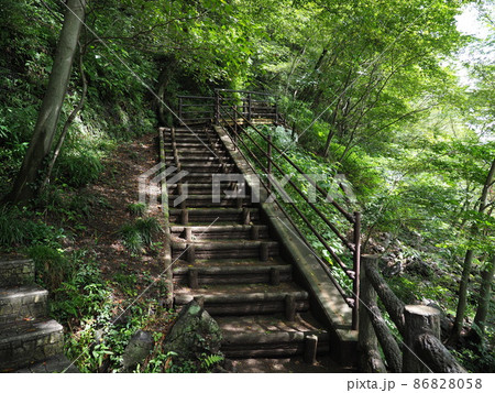 群馬　高津戸渓谷 86828058