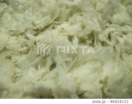 フランス産ウール 86828122