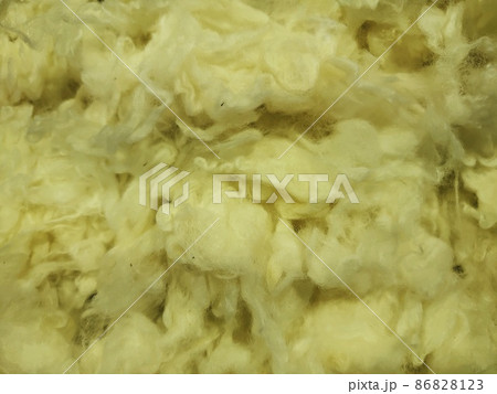 フランス産ウール 86828123