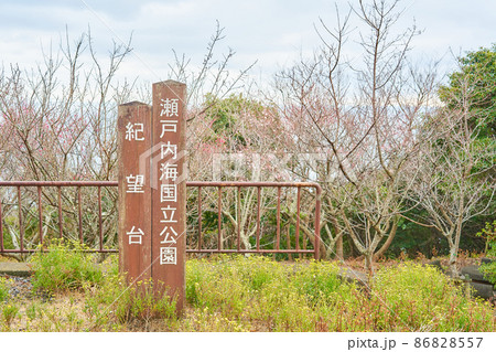 兵庫県淡路島の生石公園紀望台 86828557