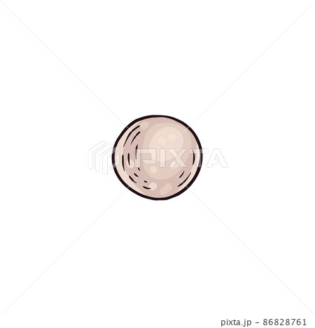 Seashell pearl in colored sketch style, vector illustration isolated on white background. Seashell pearl in colored sketch style, vector illustration isolated on white background. 86828761