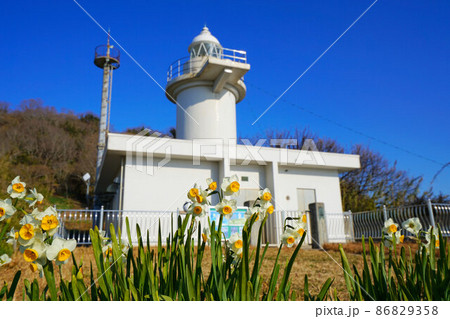 岡山県最南端・六島に咲く水仙と岡山県最古の灯台の六島灯台22 岡山県笠岡市 岡山県最南端・六島に咲く水仙と岡山県最古の灯台の六島灯台22 岡山県笠岡市 86829358