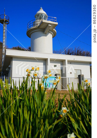 岡山県最南端・六島に咲く水仙と岡山県最古の灯台の六島灯台24 岡山県笠岡市 岡山県最南端・六島に咲く水仙と岡山県最古の灯台の六島灯台24 岡山県笠岡市 86829360