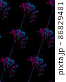 Freesia flowers drawing, seamless pattern, pink and blue neon colors 86829481