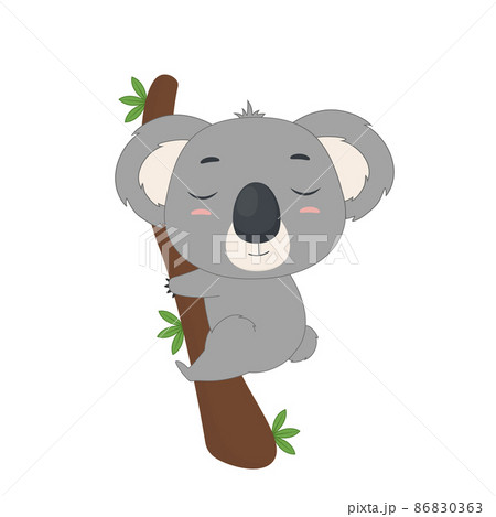 Koala sleeps on a tree branch. Koala on white backgriund. Vector illustration for designs, prints and patterns. 86830363