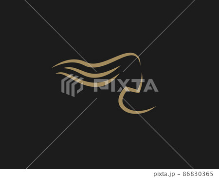 Haircare symbol, girl head gold line silhouette. Logotype for lotion, mask, shampoo, oil for hair health. Vector logo template Haircare symbol, girl head gold line silhouette. Logotype for lotion, mask, shampoo, oil for hair health. Vector logo template 86830365