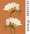 Freesia twigs blooming with white flowers illustration on orange background 86830740