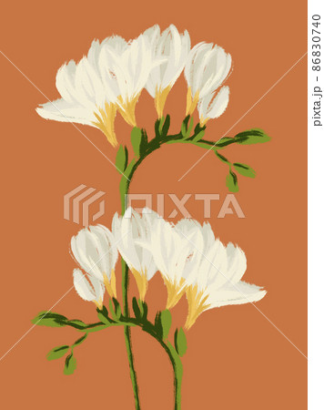 Freesia twigs blooming with white flowers illustration on orange background 86830740