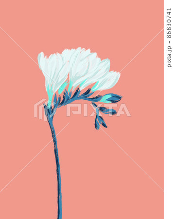 Freesia white blooming flower twig illustration on pastel background 86830741